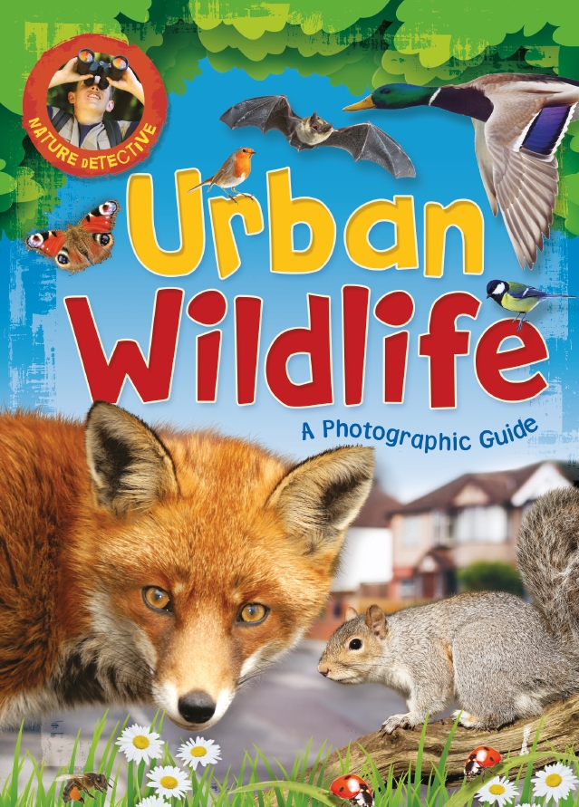 Nature Detective: Urban Wildlife by Victoria Munson | Hachette UK